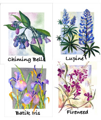 Alaskan wildflowers cards