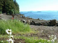 Excursion Inlet beach