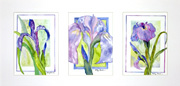 Iris triptych print