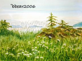 Neva Beach, Excursion Inlet