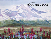 Denali Fireweed
