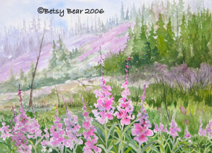 Regeneration - Fireweed