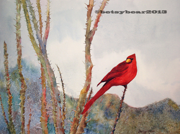 Sabino Canyon Cardinal