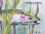 steelhead